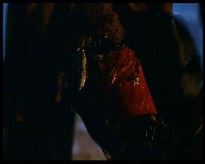 PDVD_2798.jpg
