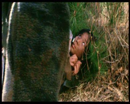 PDVD_284.jpg