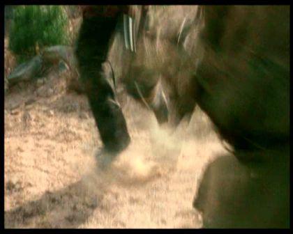PDVD_287.jpg