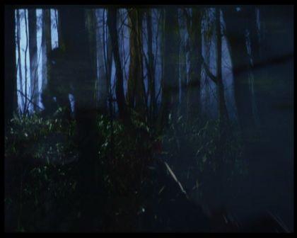 PDVD_3014.jpg