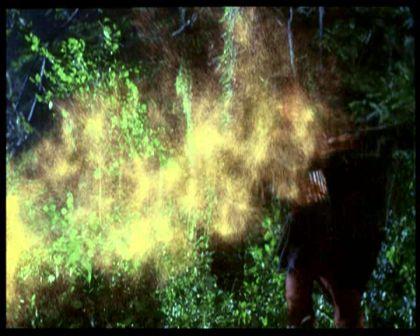 PDVD_3029.jpg