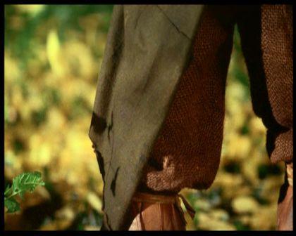 PDVD_3032.jpg