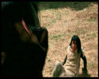 PDVD_312.jpg