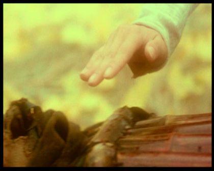 PDVD_3147.jpg