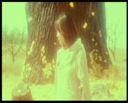 PDVD_3182.jpg