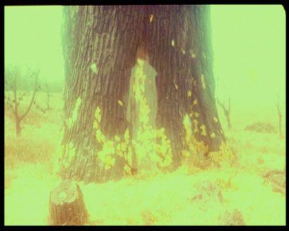 PDVD_3188.jpg