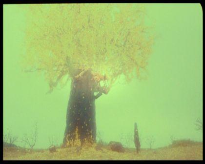 PDVD_3189.jpg