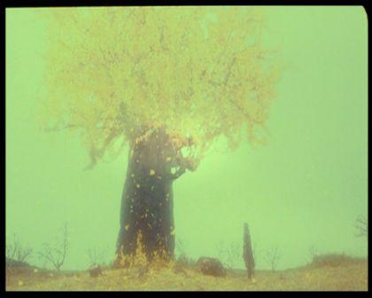 PDVD_3190.jpg