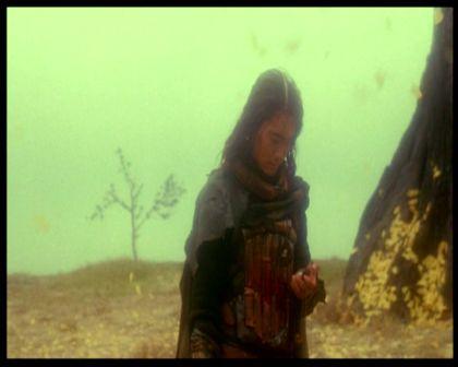 PDVD_3206.jpg