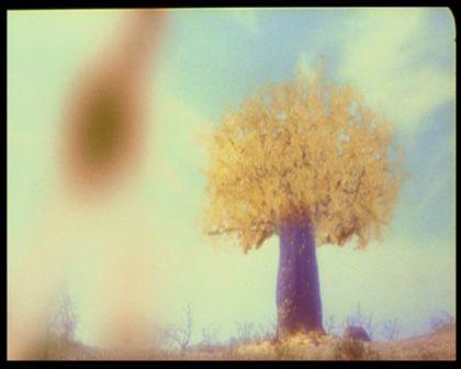 PDVD_3234.jpg