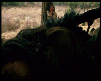 PDVD_325.jpg