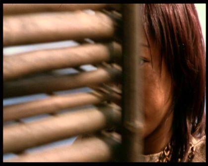 PDVD_445.jpg