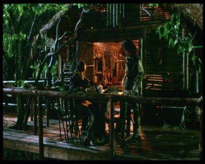 PDVD_485.jpg
