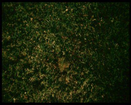 PDVD_598.jpg