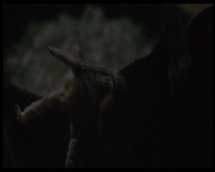 PDVD_716.jpg