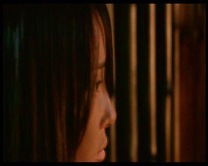 PDVD_726.jpg