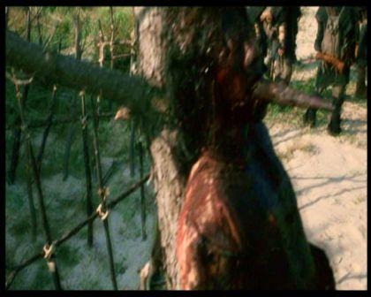 PDVD_809.jpg