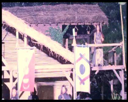 PDVD_960.jpg