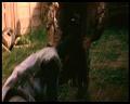 PDVD_1029