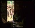 PDVD_1047