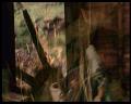 PDVD_1052