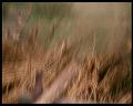 PDVD_1062