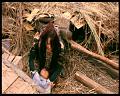 PDVD_1084