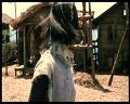 PDVD_1113
