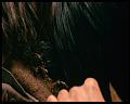 PDVD_1181
