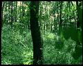 PDVD_1486
