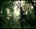 PDVD_1514