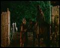 PDVD_2066