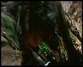 PDVD_2130