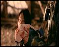 PDVD_2146