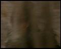 PDVD_2163