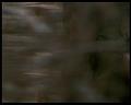 PDVD_2165