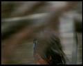 PDVD_2166