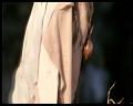 PDVD_2217