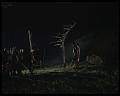 PDVD_2293