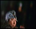 PDVD_2307