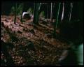 PDVD_2320