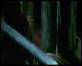 PDVD_2325