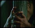 PDVD_2327