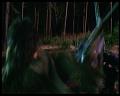 PDVD_2331