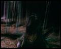PDVD_2334