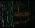 PDVD_2336