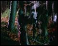 PDVD_2341