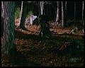 PDVD_2344