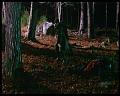 PDVD_2355
