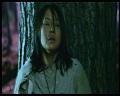 PDVD_2370